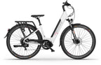 Ecobike LX300