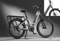 Benno 46er10D CX - 500 Wh / 13.4 Ah - 2024 - 24 Zoll - Tiefeinsteiger