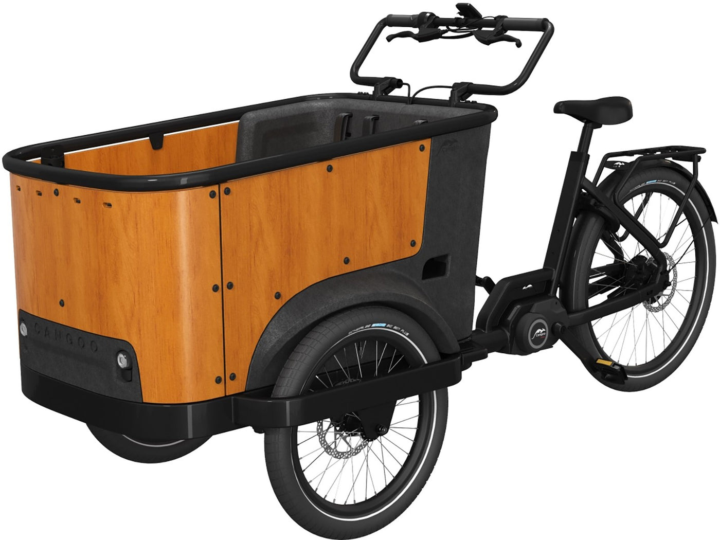 Cangoo Buckle Up - 700 Wh - 2026 - 26 Zoll - Damen und Herren