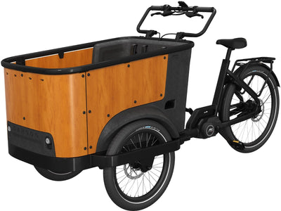 Cangoo Buckle Up - 700 Wh - 2026 - 26 Zoll - Damen und Herren