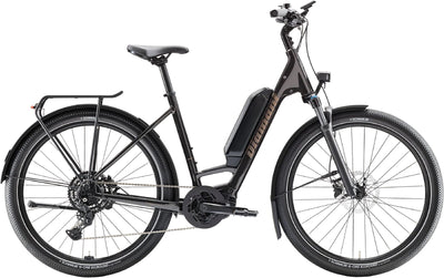 Diamant Zing Trip Core - Lowstep - 545 Wh - 2025 - 27,5 Zoll - Tiefeinsteiger