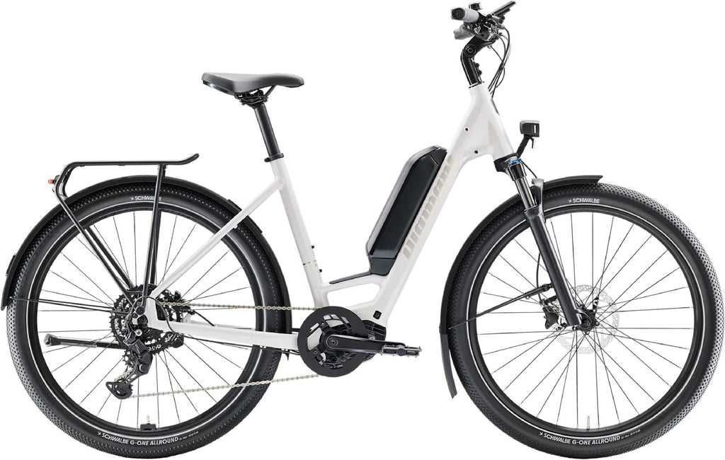 Diamant Zing Trip Core - Lowstep - 725 Wh - 2026 - 27,5 Zoll - Tiefeinsteiger