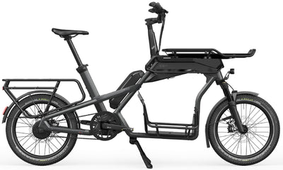 Ca Go CS150 - Edition 5 - 545 Wh - 2025 - 20 Zoll - Damen und Herren