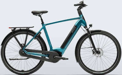 Dutch ID Infinity S40 - 500 Wh - 2025 - 28 Zoll - Herren