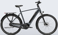Dutch ID Infinity S40 - 625 Wh / 17.4 Ah - 2026 - 28 Zoll - Herren