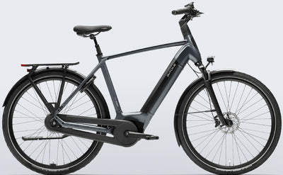 Dutch ID Infinity S40 - 500 Wh - 2025 - 28 Zoll - Herren