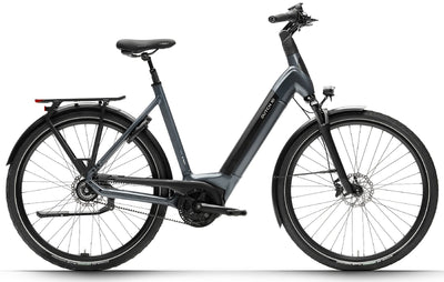 Dutch ID Infinity S50 - 500 Wh - 2025 - 28 Zoll - Tiefeinsteiger