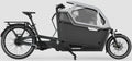 Ca Go FS200 Life Family PLUS - Edition 5 mit Kindersitz - 625 Wh / 17.4 Ah - 2026 - 20 / 27,5 Zoll - Damen und Herren