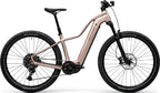 Centurion Backfire Fit R1000 EP1 - 600 Wh - 2027 - 29 Zoll - Trapez