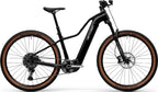 Centurion Backfire Fit R1000 EP1 - 600 Wh - 2027 - 29 Zoll - Trapez