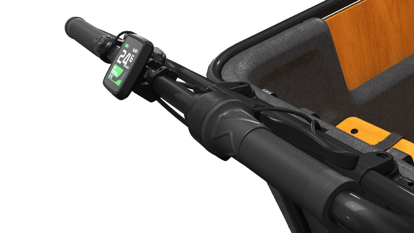 Cangoo Buckle Up - 700 Wh - 2026 - 26 Zoll - Damen und Herren