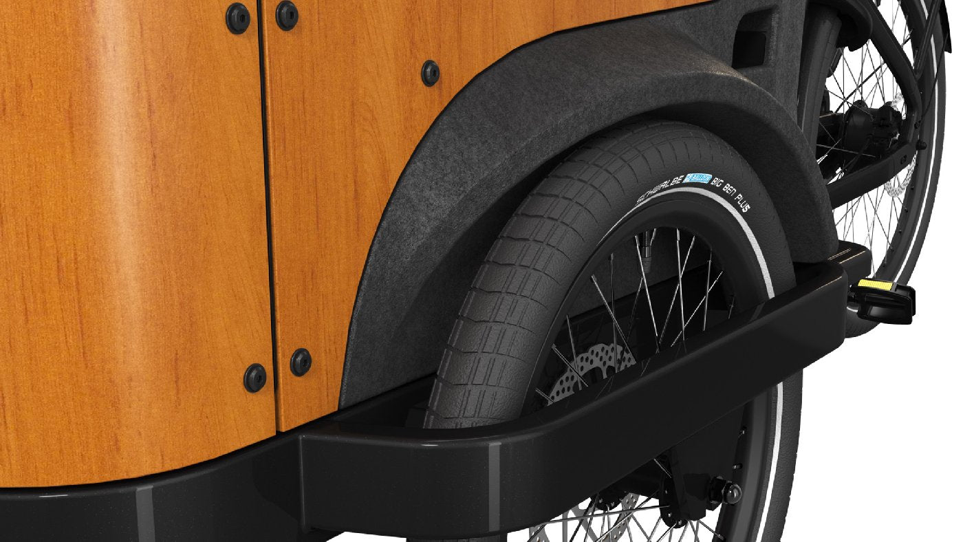 Cangoo Buckle Up - 700 Wh - 2026 - 26 Zoll - Damen und Herren