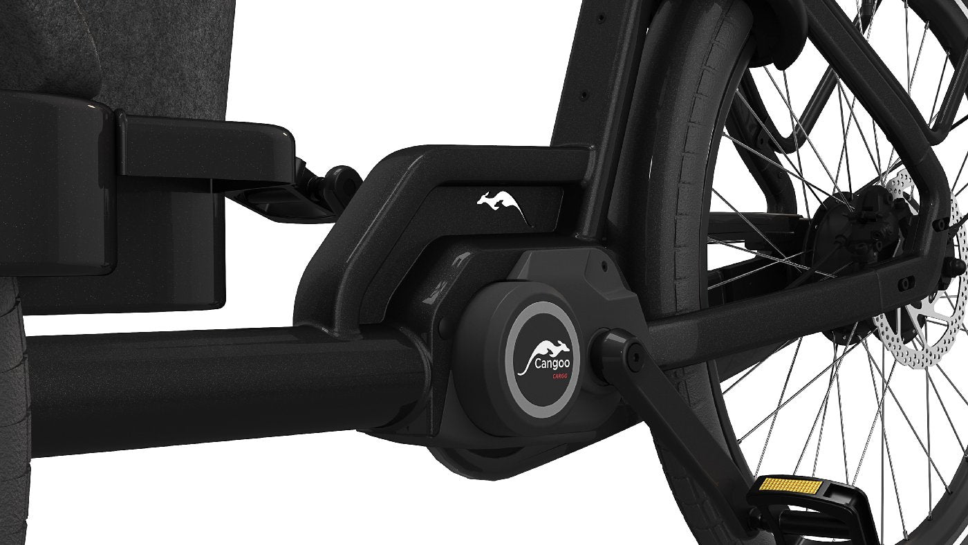 Cangoo Buckle Up - 700 Wh - 2026 - 26 Zoll - Damen und Herren