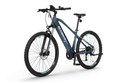 Ecobike SX300 20" green - 672 Wh - 2022 - 29 Zoll - Damen und Herren