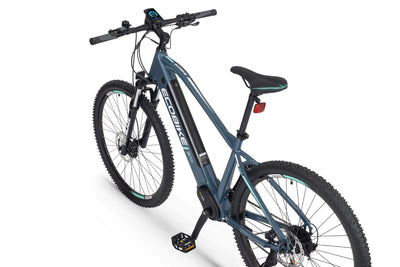 Ecobike SX300 20" green - 672 Wh - 2022 - 29 Zoll - Damen und Herren