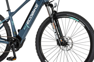 Ecobike SX300 20" green - 672 Wh - 2022 - 29 Zoll - Damen und Herren