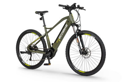 Ecobike SX300 20" green - 672 Wh - 2022 - 29 Zoll - Damen und Herren