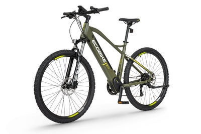 Ecobike SX300 20" green - 672 Wh - 2022 - 29 Zoll - Damen und Herren