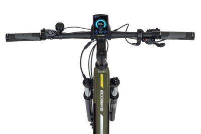 Ecobike SX300 20" green - 672 Wh - 2022 - 29 Zoll - Damen und Herren